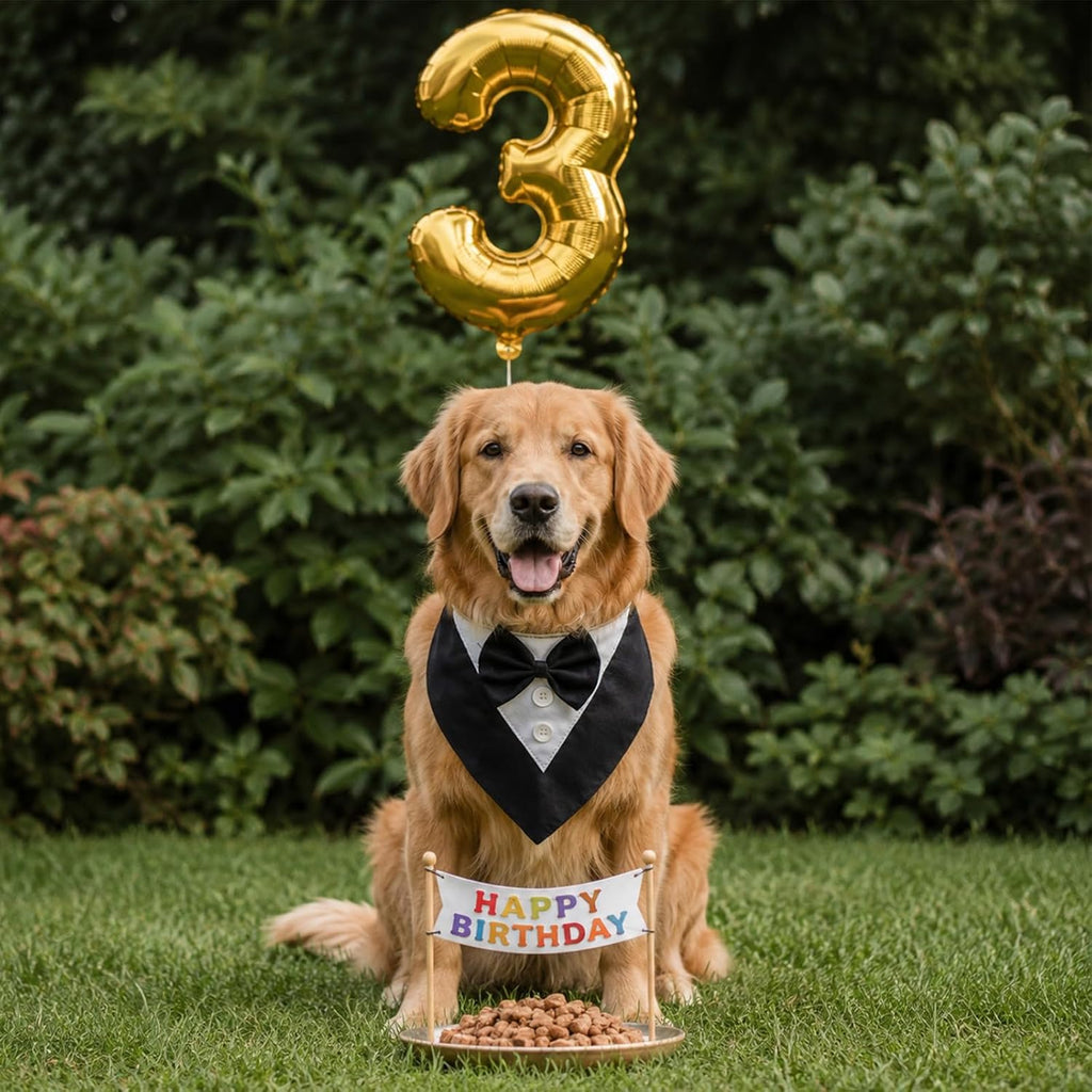 Dog Tuxedo Bandana Wedding Birthday Dog Bow Tie
