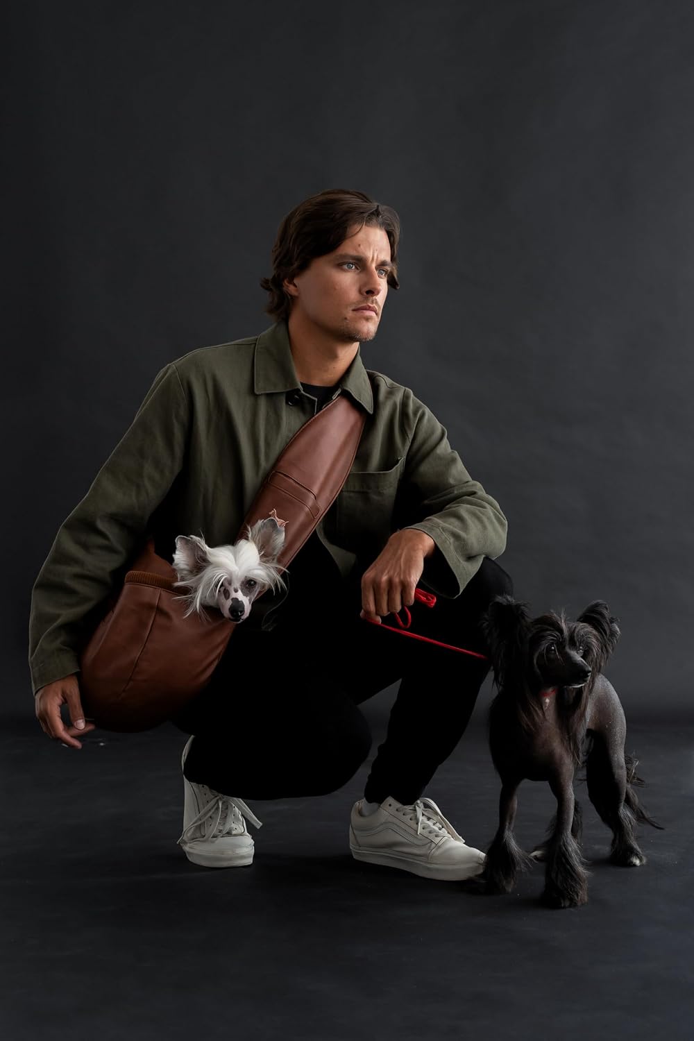 Dog Carrier Sling 5-18lb, Cat Carrier bag (Faux Leather, Zipper)