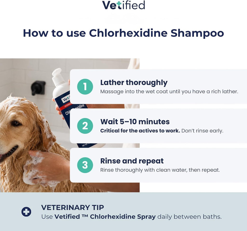 Chlorhexidine Shampoo 16 fl oz - NDC: 86247-002-16