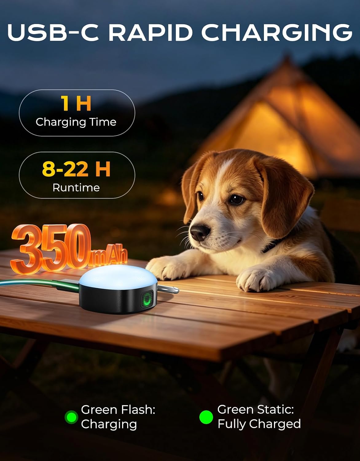 Safety Light 100LM, 4 Modes Dog Collar Light/Stroller/Backpack Light
