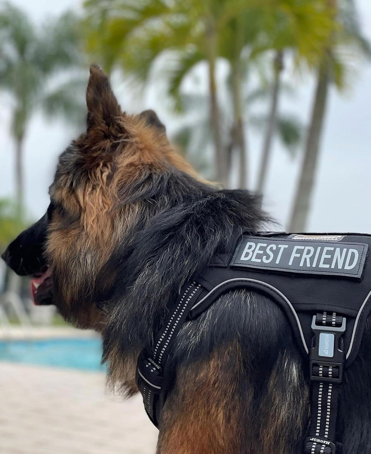 AUROTH Dog Harness for Large Dogs, No Pull Tactical Dog Vest Heavy Duty