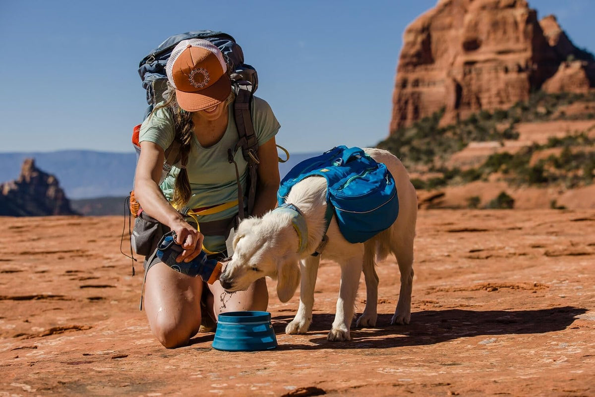 Ruffwear, Approach Pack Dog Backpack, Blue Dusk, Large/X-Large