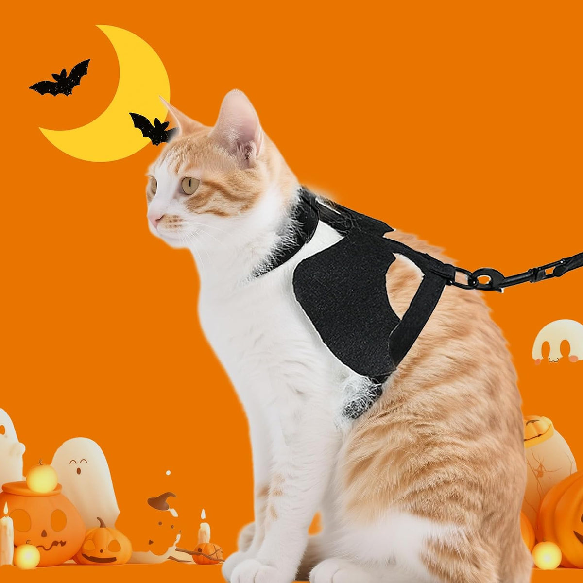 Cat Harness and Leash with Bat Wings, Escape Proof Leash (S)