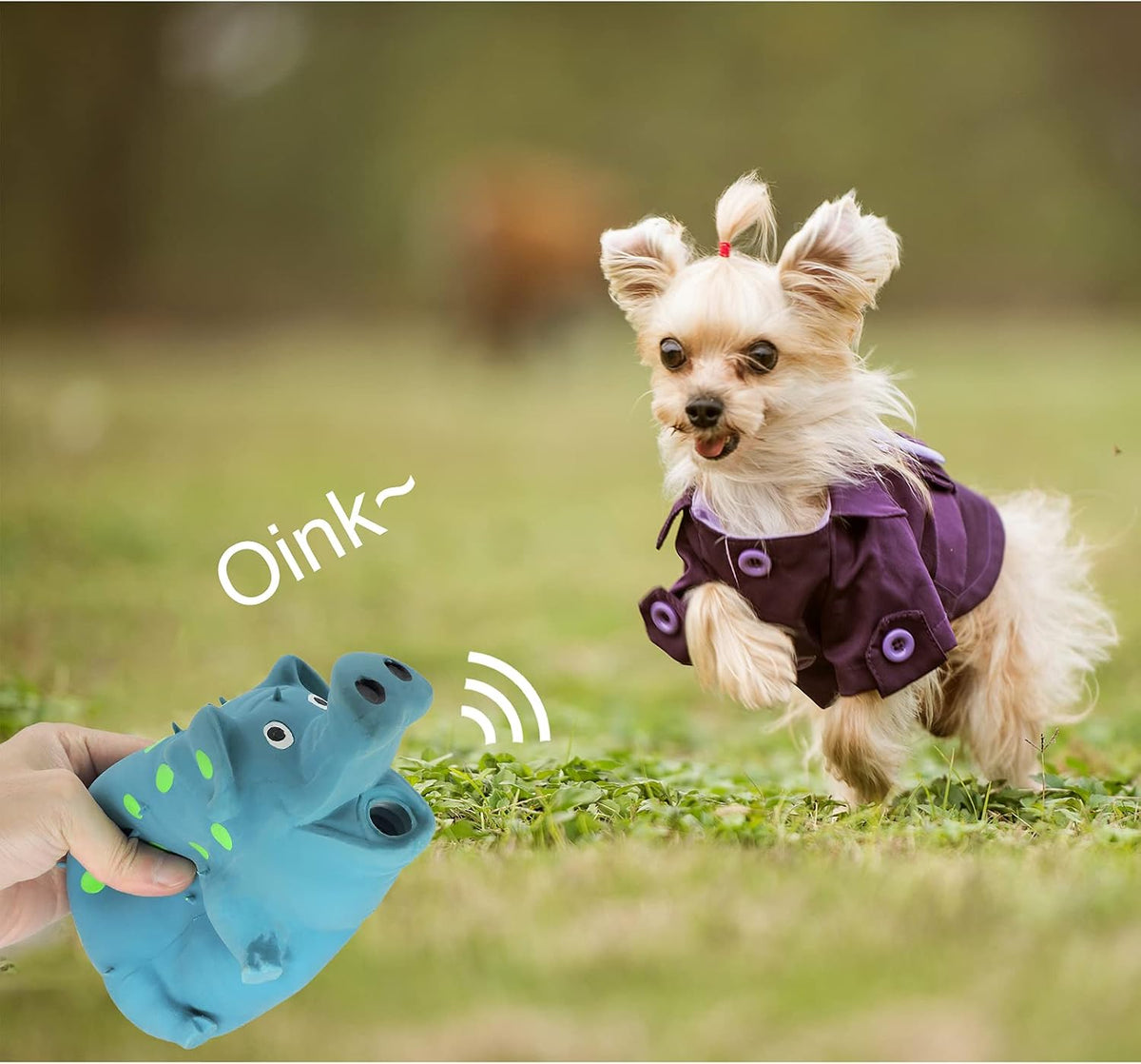 Andiker Dog Squeaky Toy, Dots Latex Dog Chew Toys with a Oinks Sound Squeaker Grunting Pig Dog Toy Durable Self Play 8" 