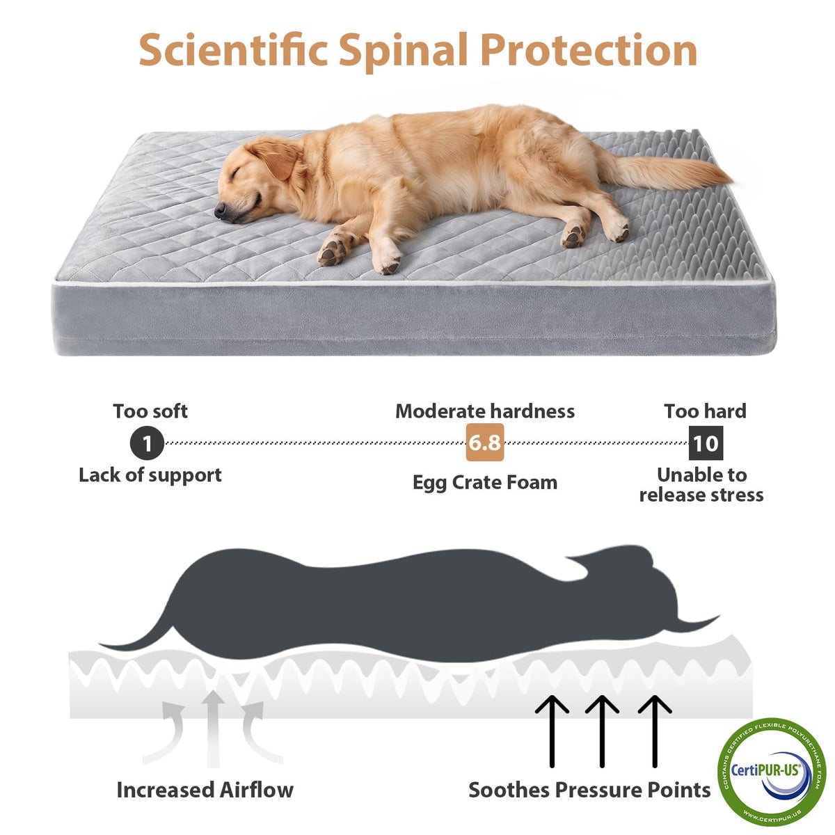 WNPETHOME Orthopedic Waterproof Extra Large Senior Dogs Bed for Comfy Sleep