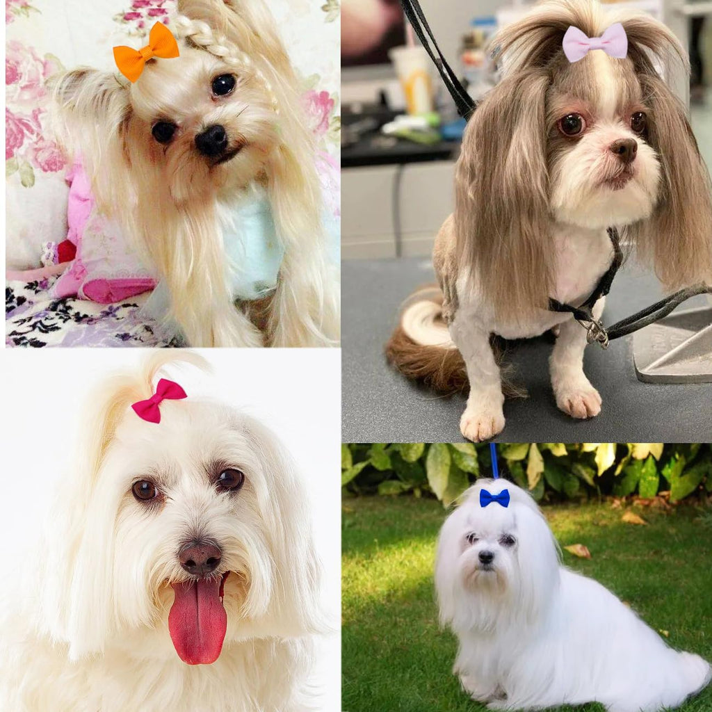 Dog Bows for Ears Small Size Dog Bowknot 2inch Hair Ties Bulk with Rubber Bands Dog Ear Bow Pet Accessories Grooming Pro