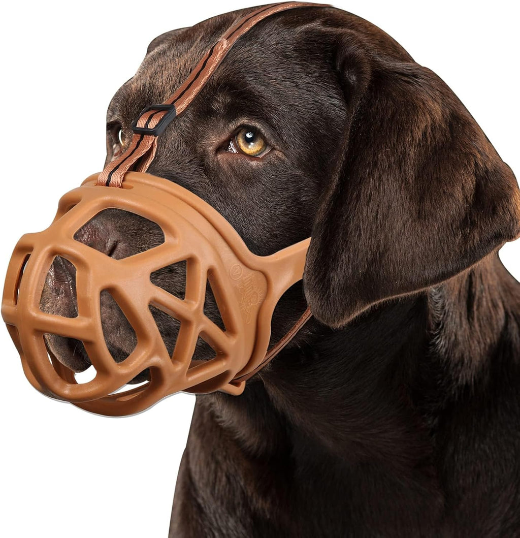 Dog Muzzle, Humane Basket Muzzle for Large Dogs Biting, Scavenging