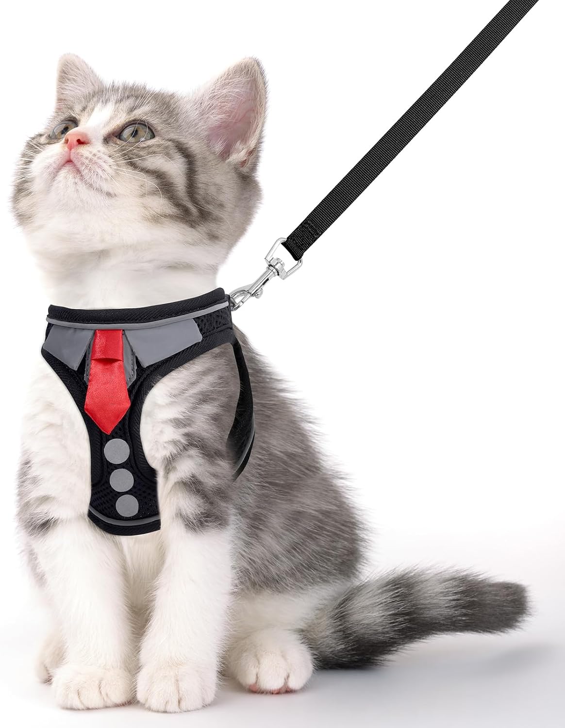 Cat Harness and Leash Set for Walking Escape Proof Vest for Kitten