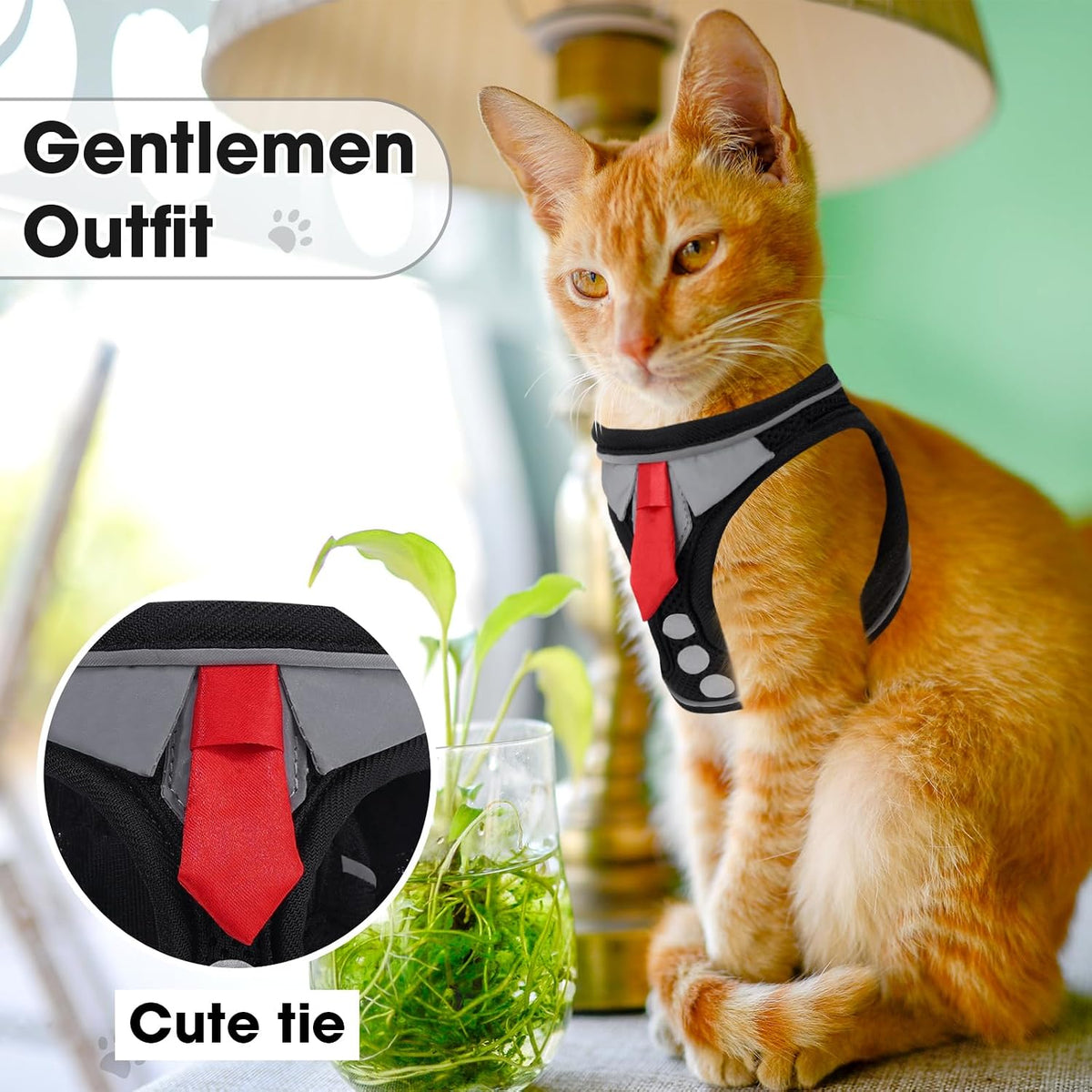 Cat Harness and Leash Set for Walking Escape Proof Vest for Kitten