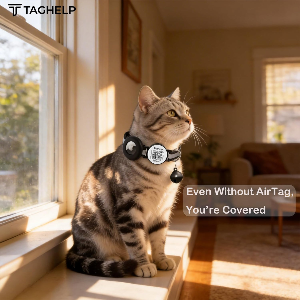 Reflective AirTag Cat Collar, Integrated Cat Collar with Air Tag Holder