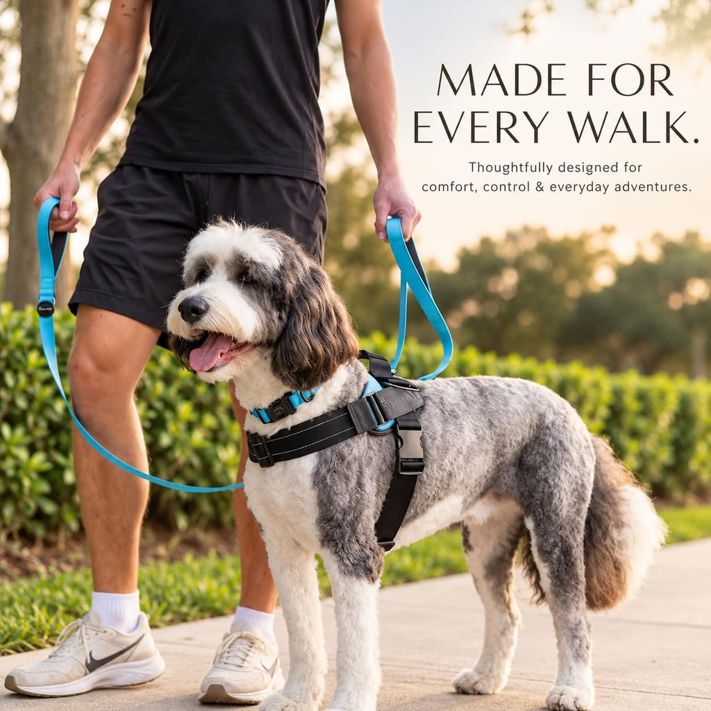 ShawnCo Dream Walk Dog Leash (Icy Lilac,M/L 6FT w/ 2 Handles)