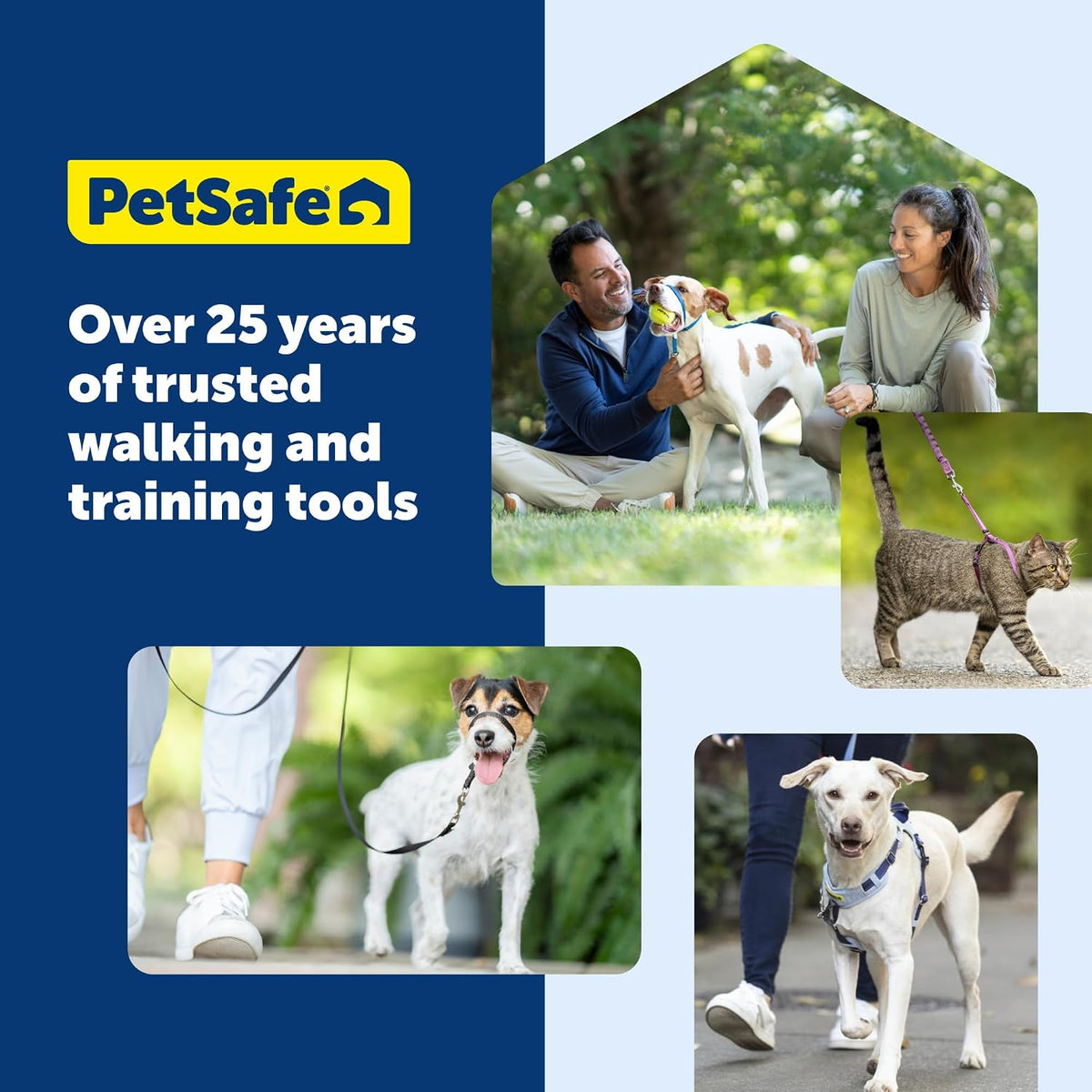 PetSafe Easy Walk Harness, No Pull Dog Harness, Raspberry, Medium/Large