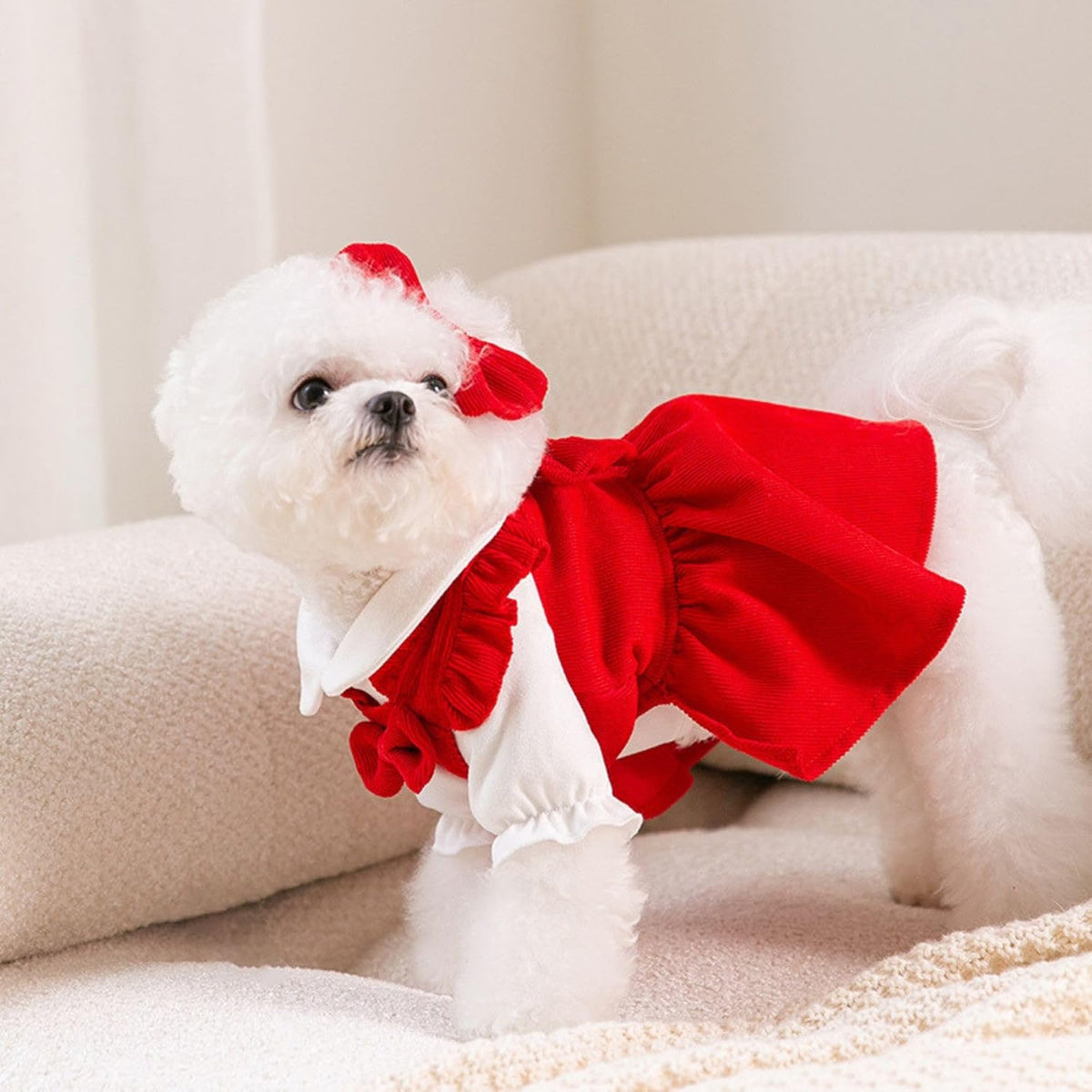Red Corduroy Dog Dress Sweater for Small Dogs Girl Set Dog Winter Dress Puppy Clothes Christmas