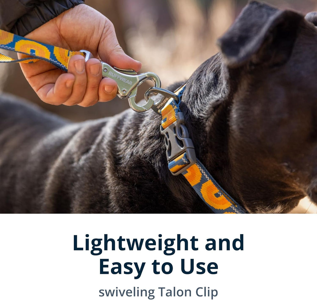 Ruffwear, Crag Dog Leash, Reflective Everyday 6 ft Lead, Alpine Dusk