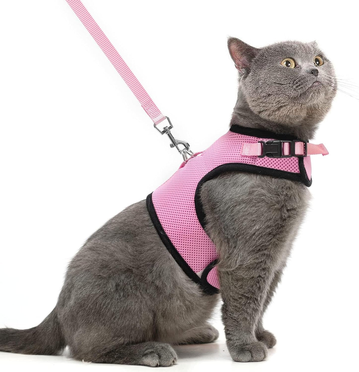 PUPTECK Soft Mesh Cat Vest Harness and Leash Set Puppy Padded Pet Harnesses Escape Proof for Cats Small Dogs Rabbits Bun
