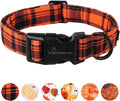 ARING PET Halloween Dog Collar-Cute Fall Dog Collar for Small Dogs, Cotton Halloween Orange Grid Dog Collars for Small M