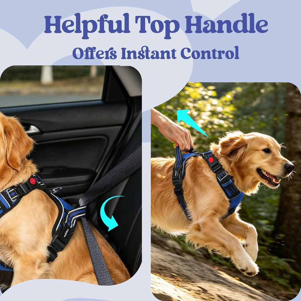 rabbitgoo Dog Harness for Large, Updated Easy On & Off with 3 Buckles