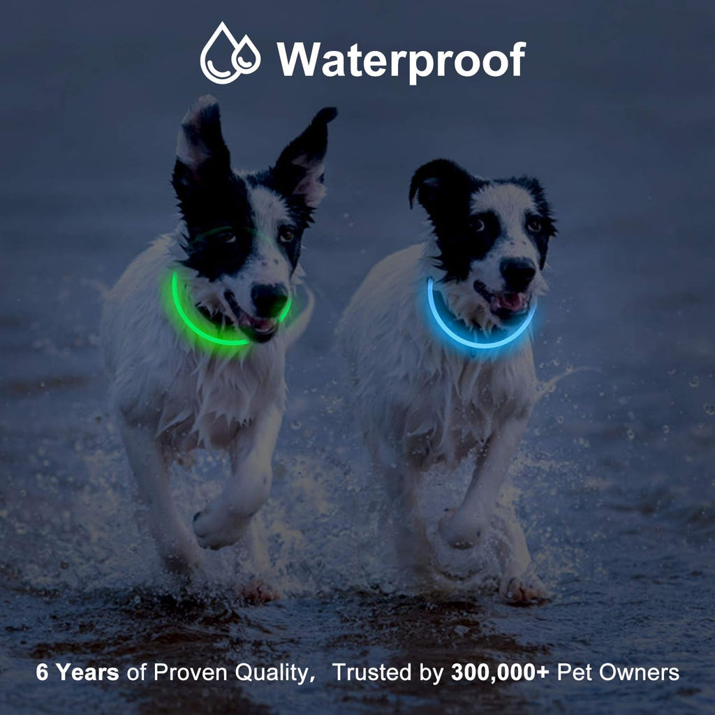 2-Pack LED Dog Collar, Light Up Dog Collars,Rechargeable Dog Lights for Night Walking，Universal, Reusable Safety Necklac
