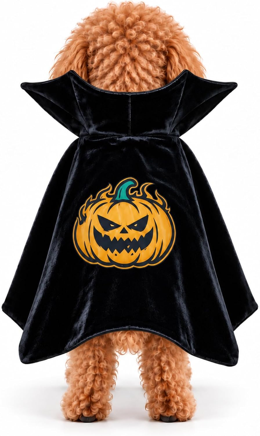 Halloween Dog Cape for Small Dogs, Pet Party Costume for Photos, Funny Pumpkin Skull Cloak, Cute Spooky Puppy Clothes, F