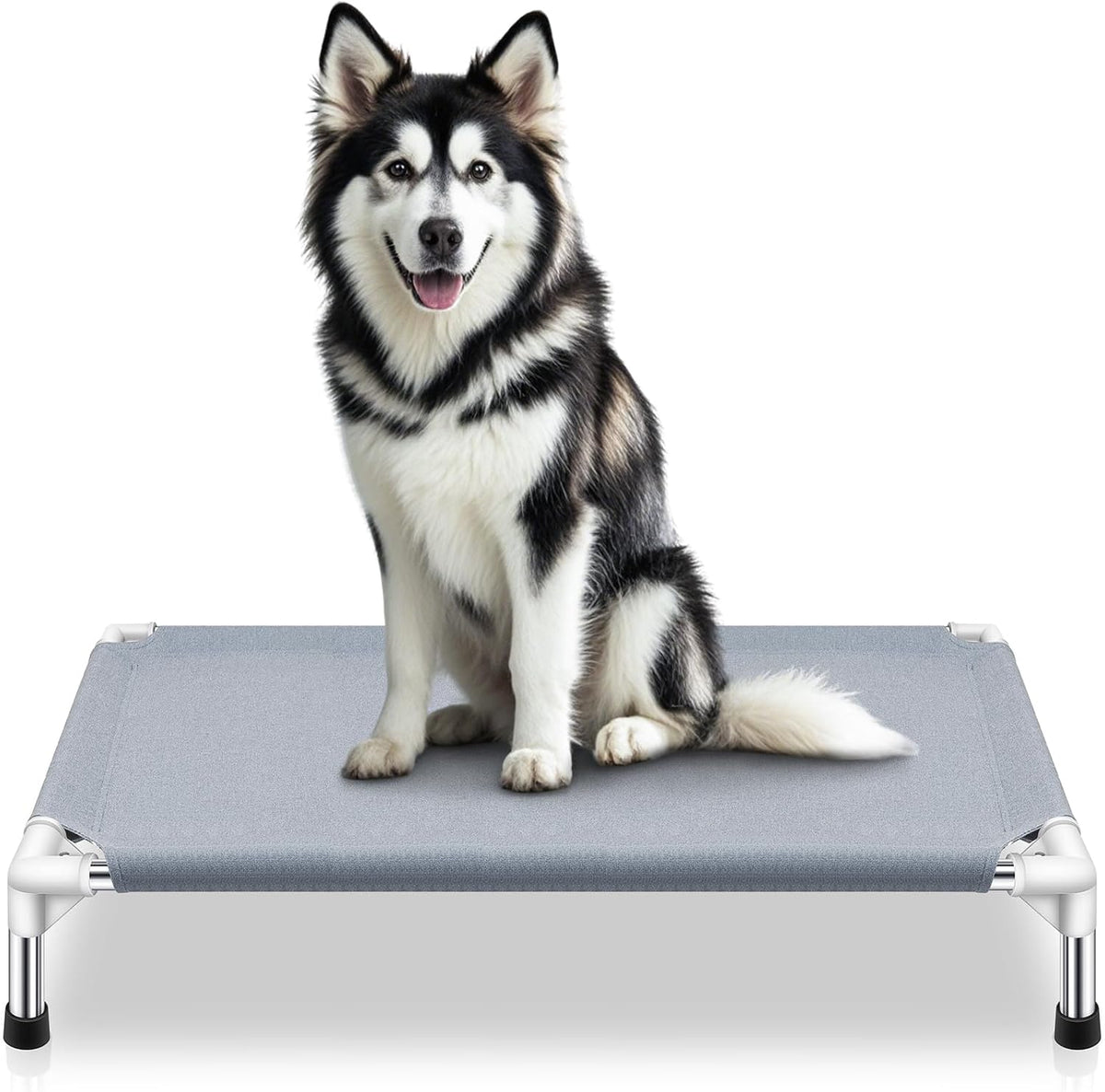 Elevated Dog Bed, Raised Outdoor Dog Bed for Medium Dogs, Portable Pet Cots