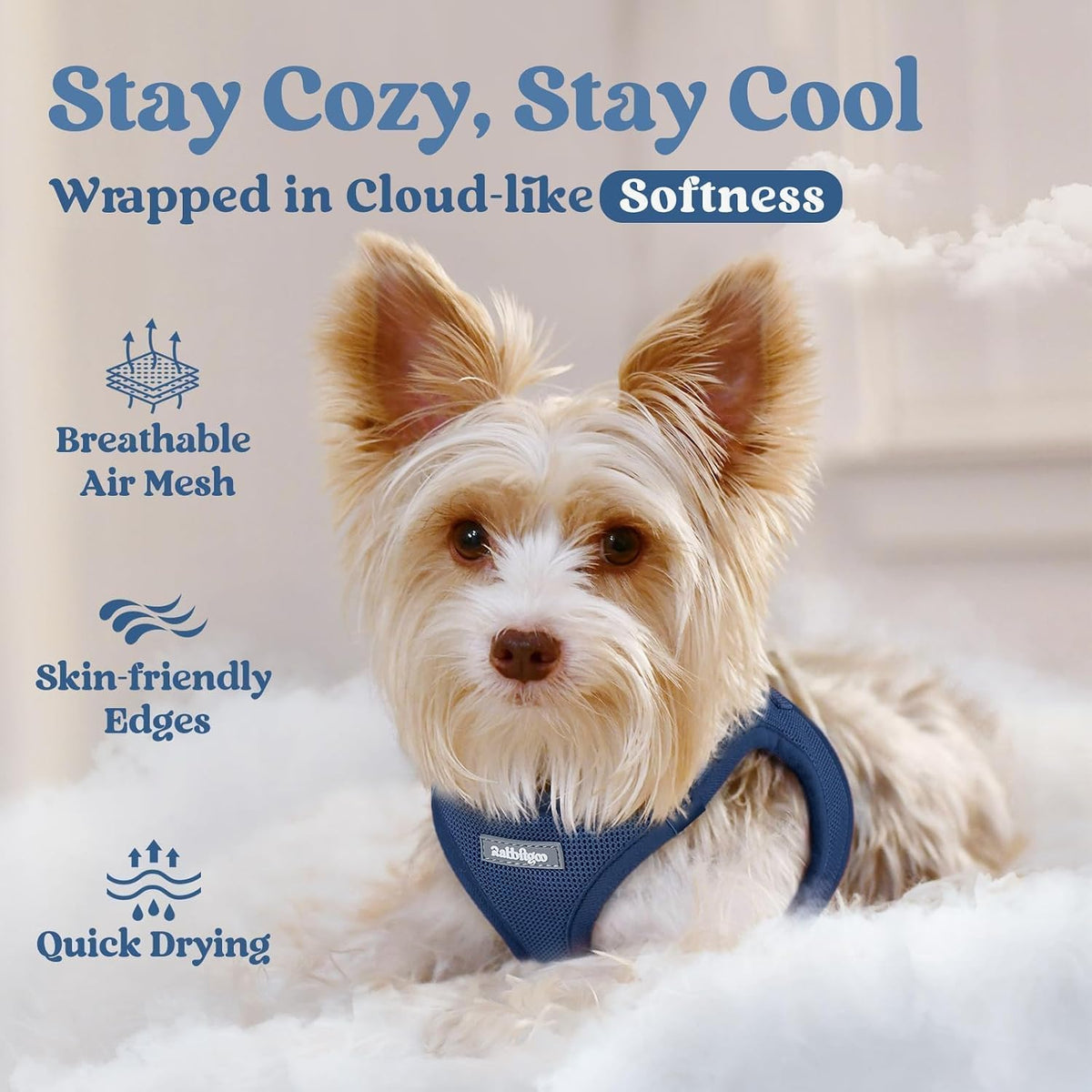 rabbitgoo Step-in Small Dog Harness, Puppy Vest for Small Sized Pet