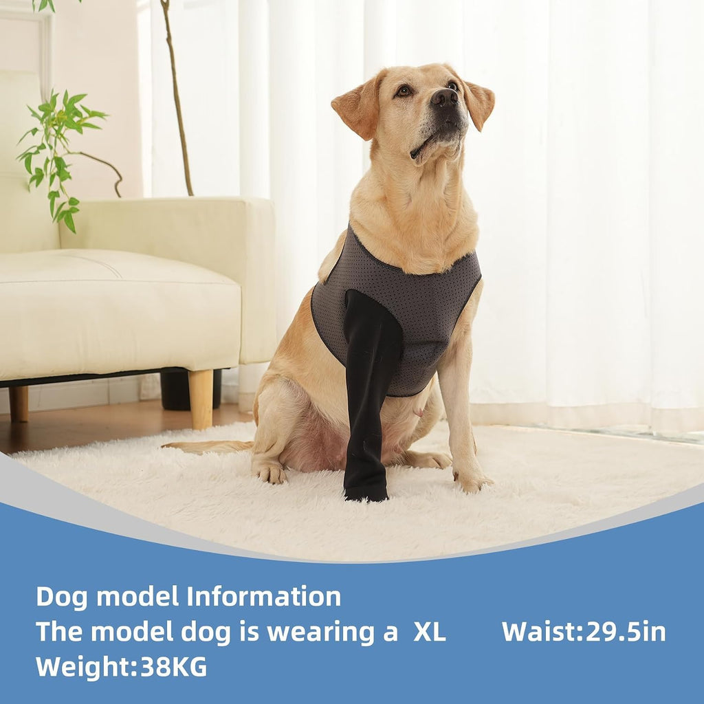 Dog Socks to Prevent Licking Paws ，Breathable Dog Leg Sleeve to Stop Licking and Biting， Firm and Secure Protect Wounds 
