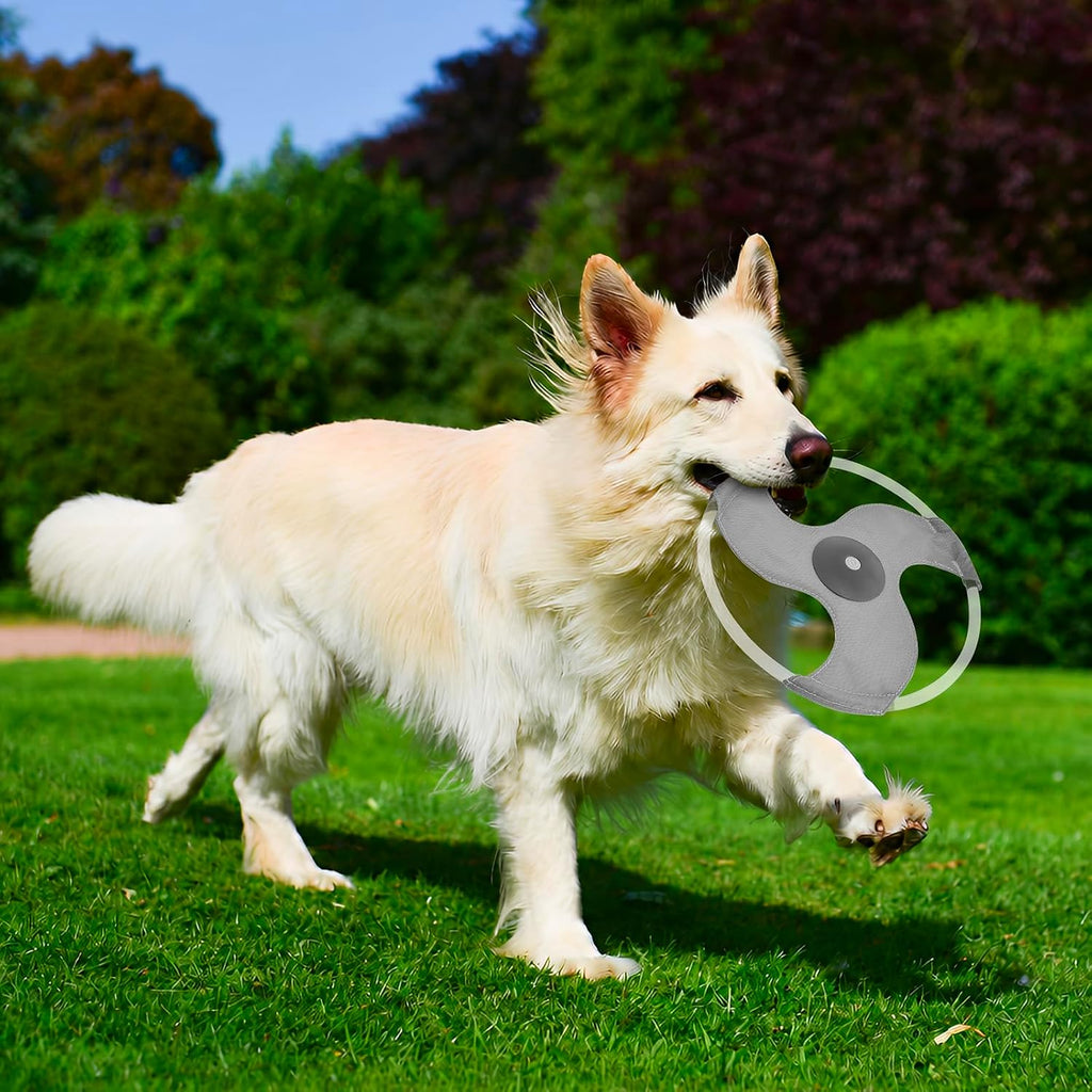 Light Up Dog Flying Disc, LED Flying Disc Dog Toy for Night Time