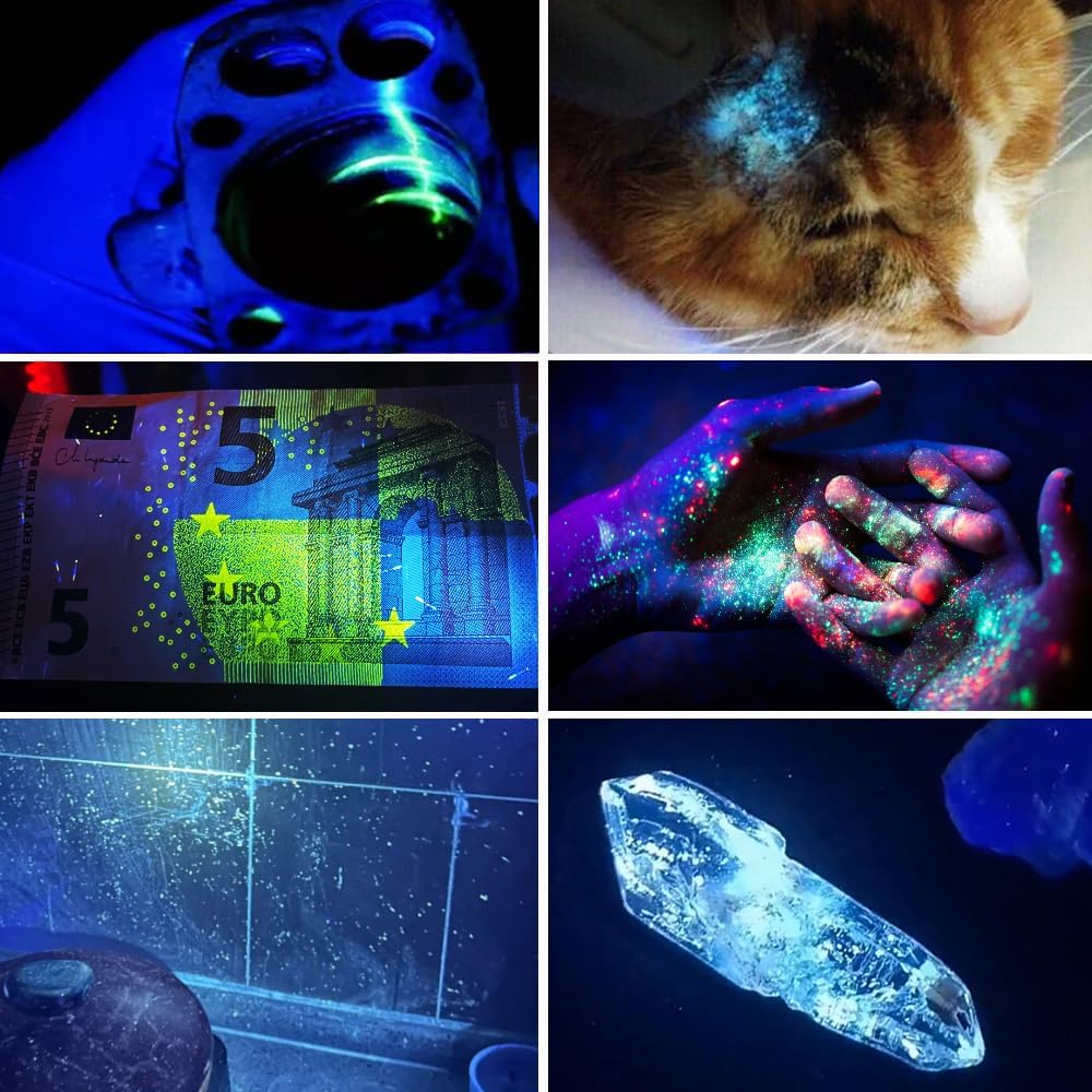 UV Black Light 365 nm Rechargeable Flashlight with Filter for Pet Urine