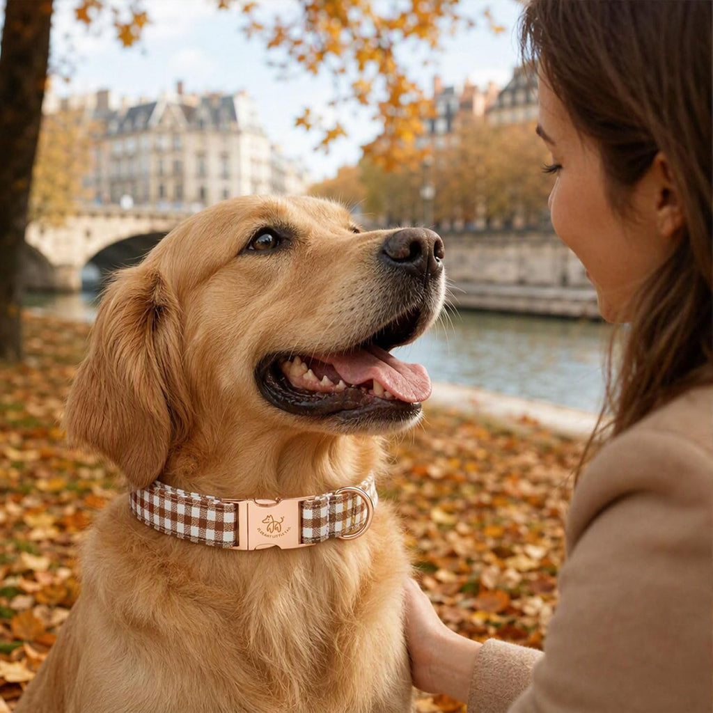 Fall Dog Collar, Autumn Pet Collar Durable Yellow Plaid Dog Collars Male or Female Holiday Pet Gift Adjustable Dog Colla