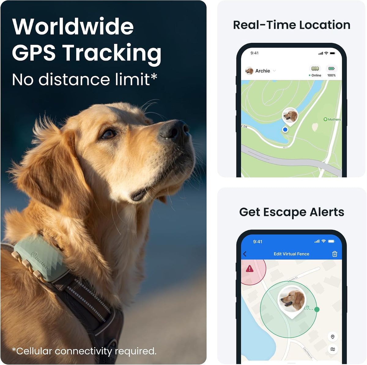 Tractive XL Smart Dog GPS Tracker | Live Pet Tracker with Virtual Fence | Vital Signs Monitoring of Heart & Respiratory 