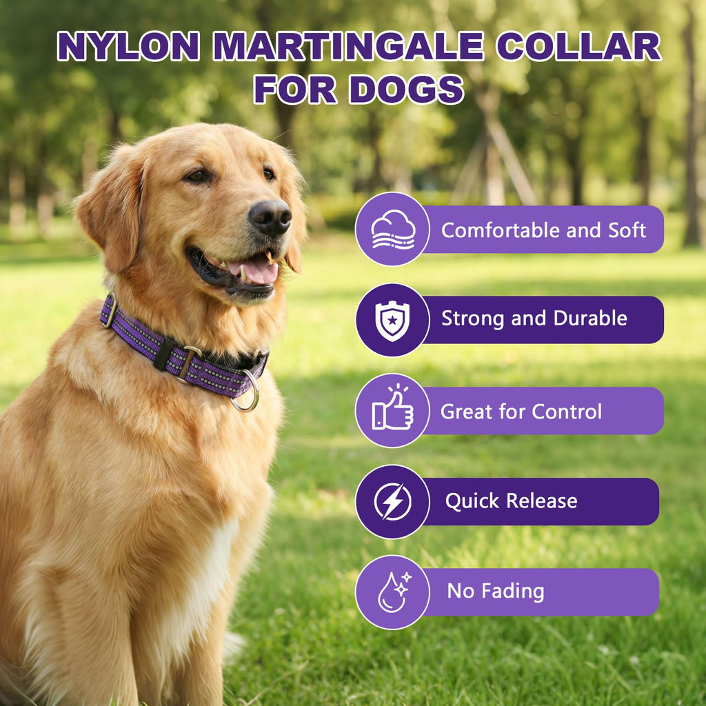 Martingale Collar for Dogs,Reflective Escape Proof,Purple,M