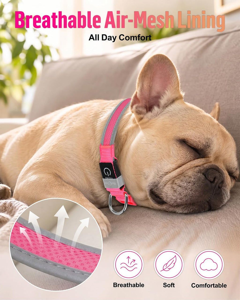 Taglory Light Up Dog Collar for Night Walking, LED Rechargeable, Hot Pink M