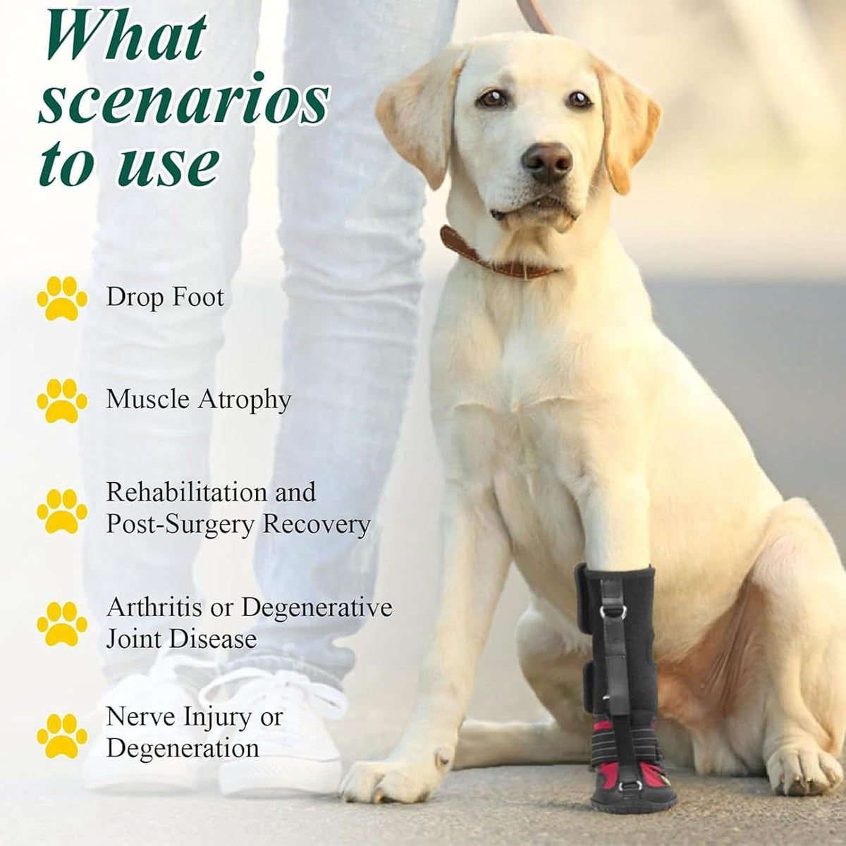 Strap on Drop Foot Brace for Dogs, Corrective Dog Shoes (L)