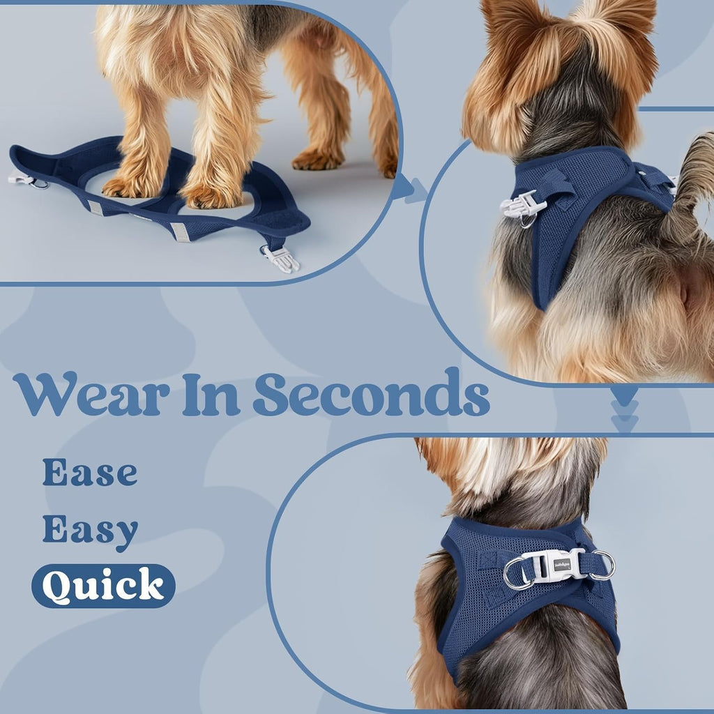 rabbitgoo Step-in Small Dog Harness, Puppy Vest for Small Sized Pet