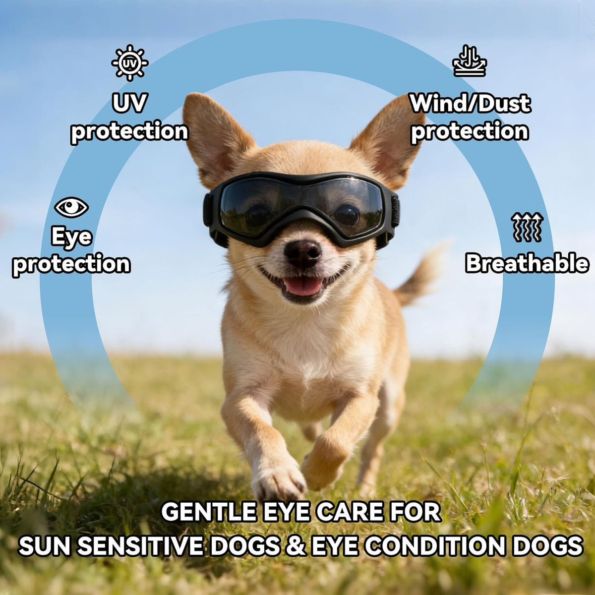 Dog Goggles Small Breed, XS Dog Sunglasses Chihuahua Glasses Anti-UV Eyes Protection for XSmall Pets Tiny Dogs Cats, Bla