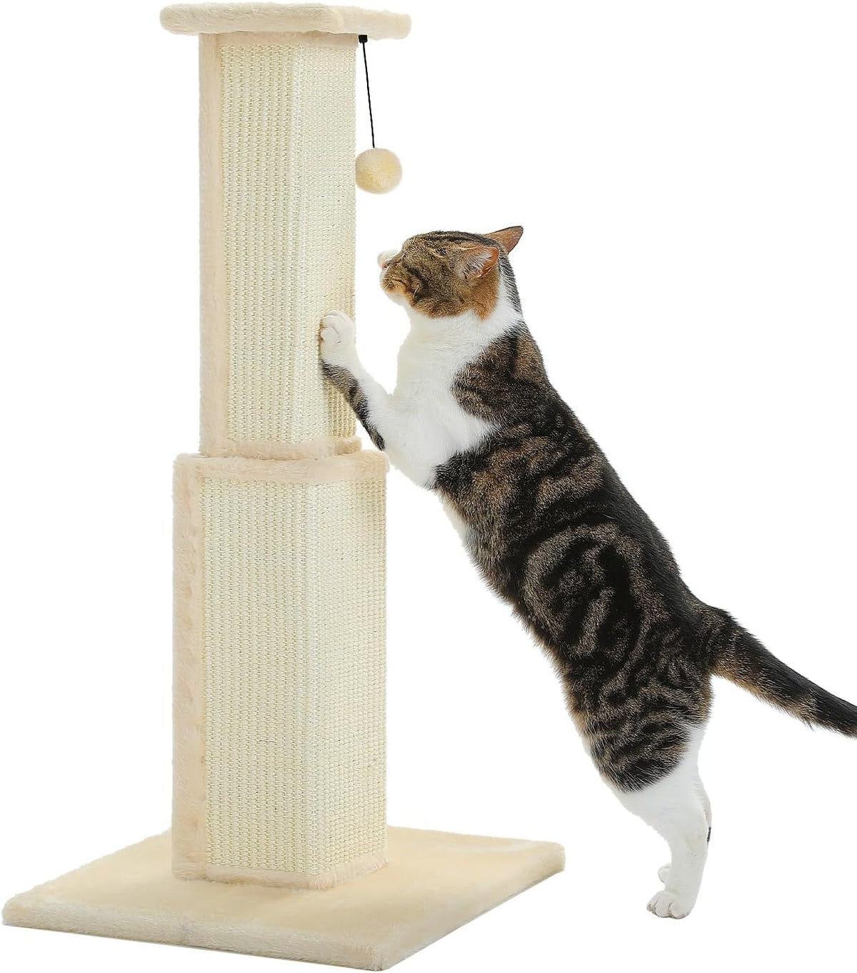 PAWZ Road Large Cat Scratching Post 32" Tall Black Cat Scratcher