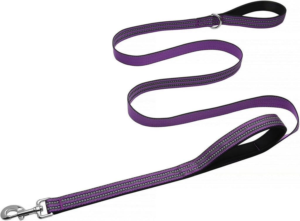 Hikiko Double Handle Dog Leash with Two Comfortable Padded Handles