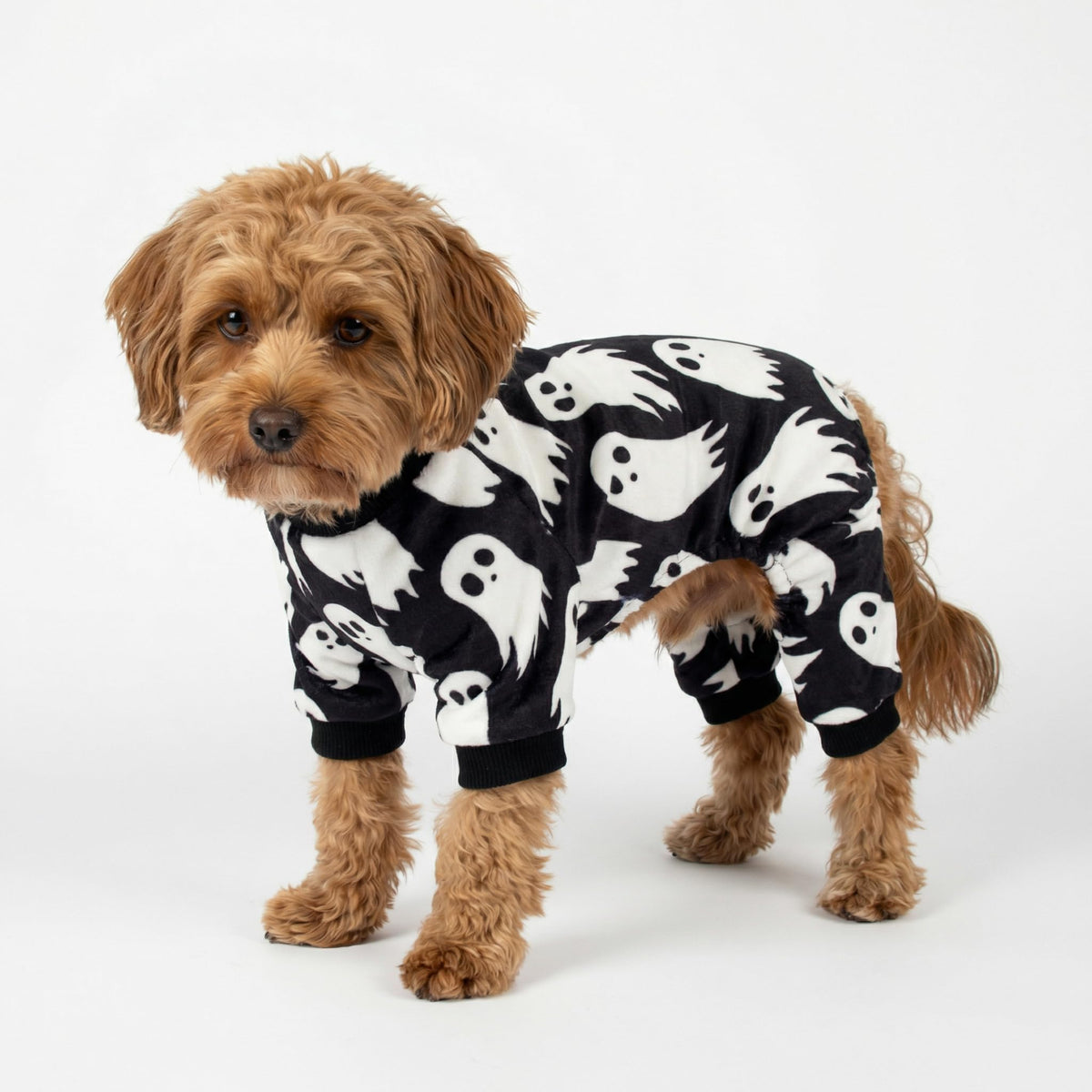 Fitwarm Halloween Ghost Dog Pajamas, Funny Halloween Costumes for Dogs, Fleece Dog Onesie with Feet, Doggy Clothes for Small Dogs Boy Girl, Pet Apparel, Black, White, Medium