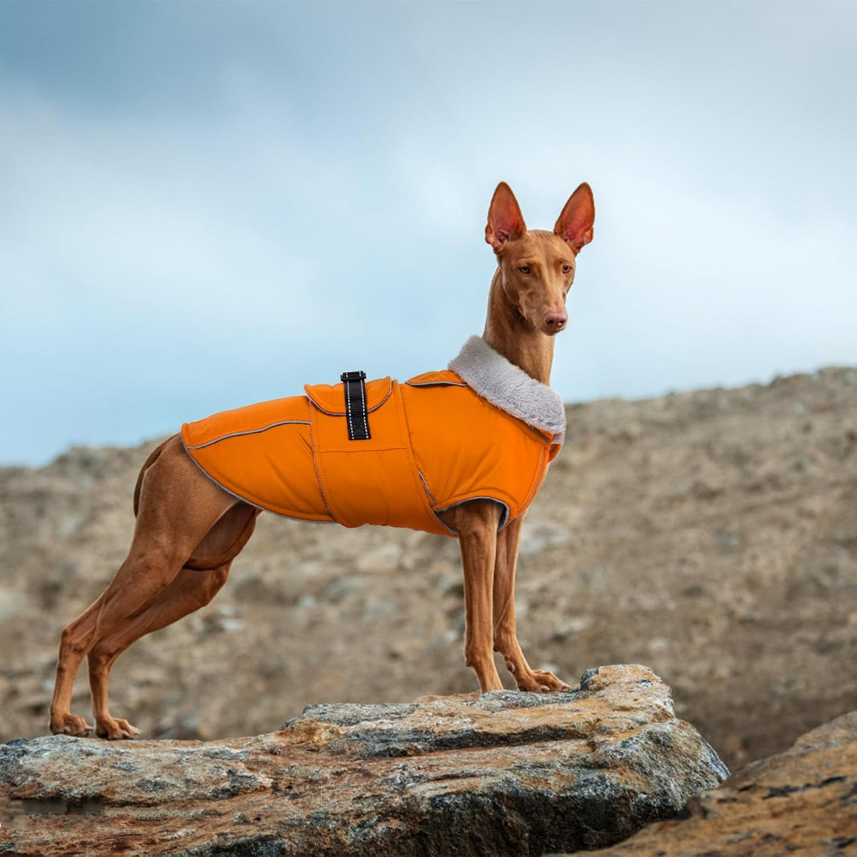 Dog Coat Waterproof Dog Jacket Fleece Vest with Adjustable Buckle