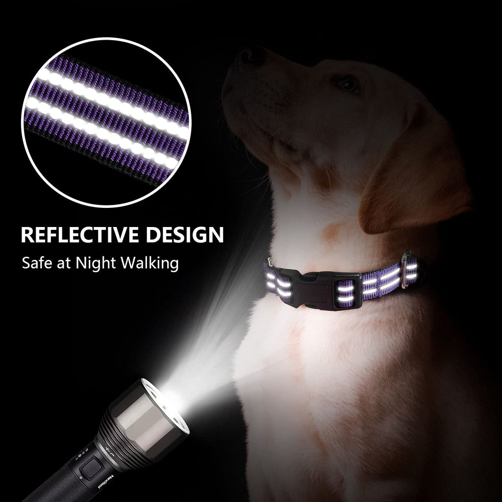 Martingale Collar for Dogs,Reflective Escape Proof,Purple,M