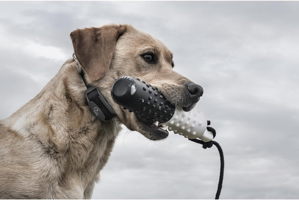 SportDOG FieldTrainer 425X Remote Trainer, 500-Yard Range, Waterproof