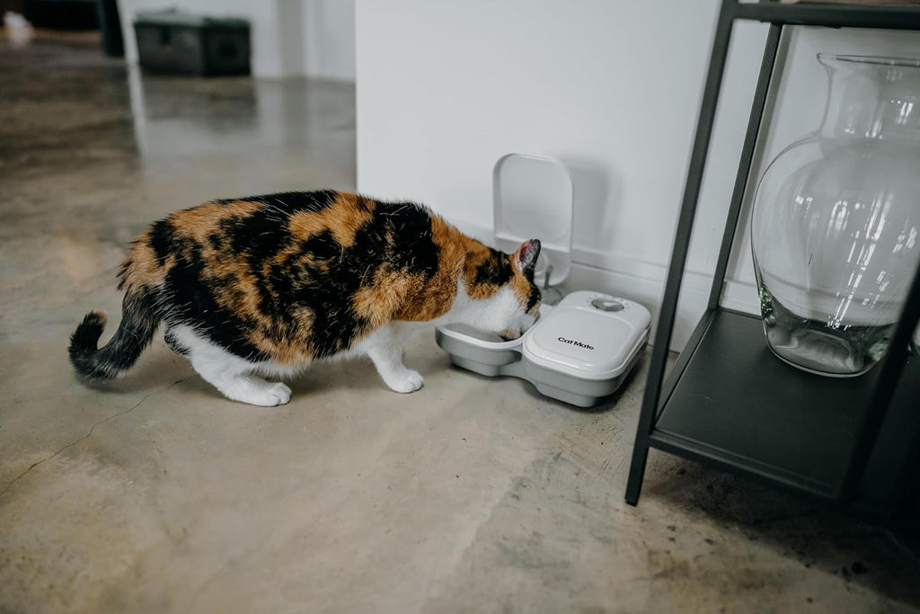Cat Mate 2-Meal Automatic Pet Feeder, for Cats & Small Dogs, 800g / 1.78 lb