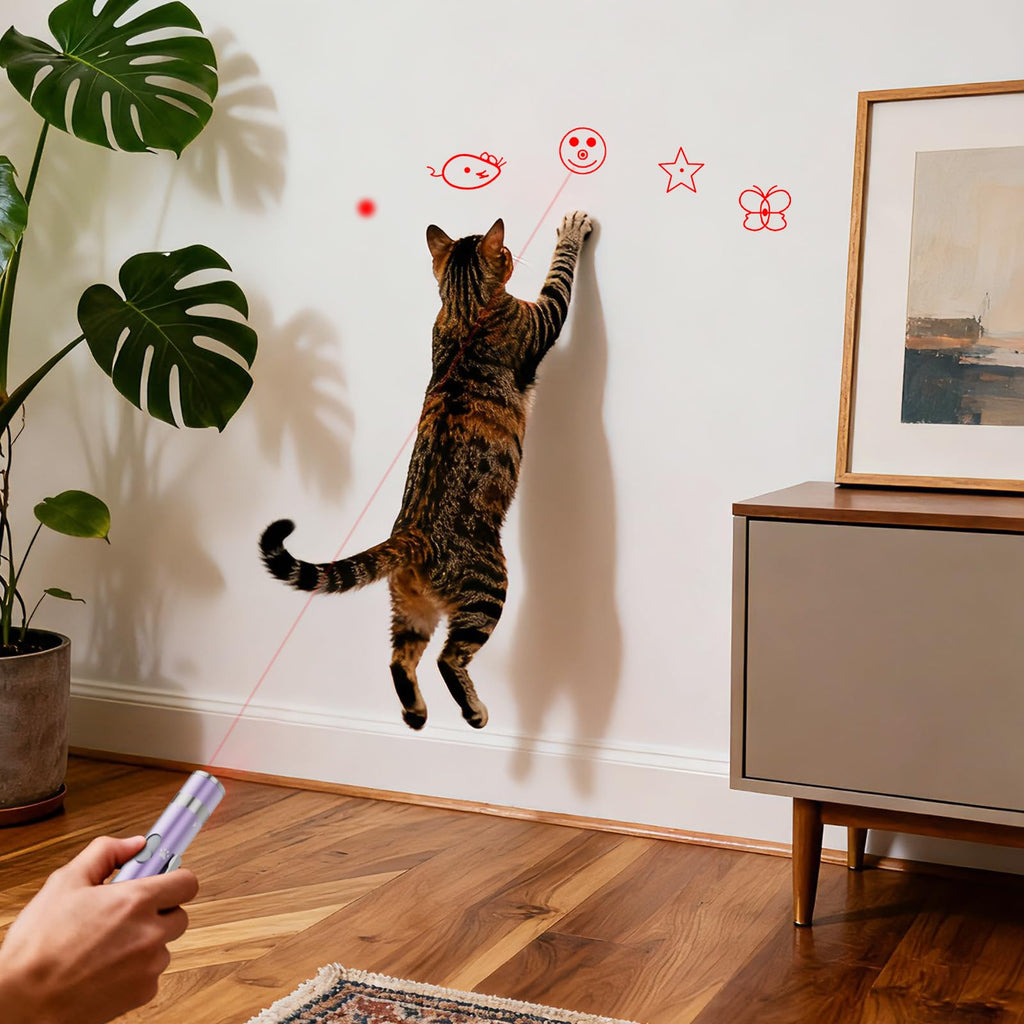 OUMSIS Cat Toys, Rechargeable, Interactive USB Chase Toy for Cats & Kittens