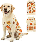 Thanksgiving Dog Sweater, Pumpkin Maple Leaf Fall Pattern, XL
