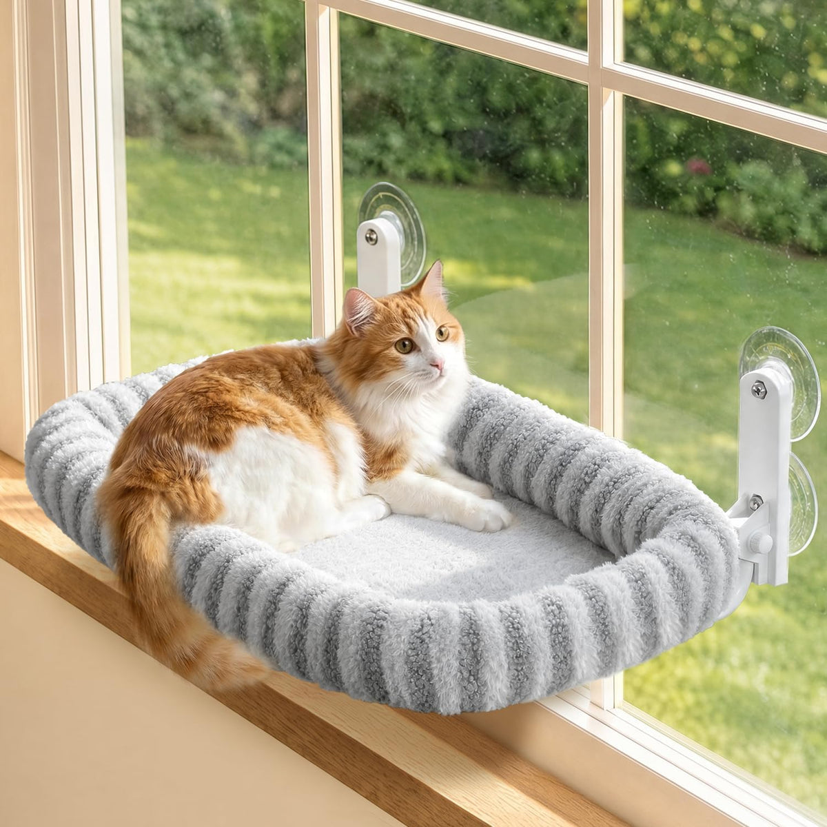 Zakkart Mellow Foldable Cat Window Perch, Upgraded Suction Cups (Beige, M)