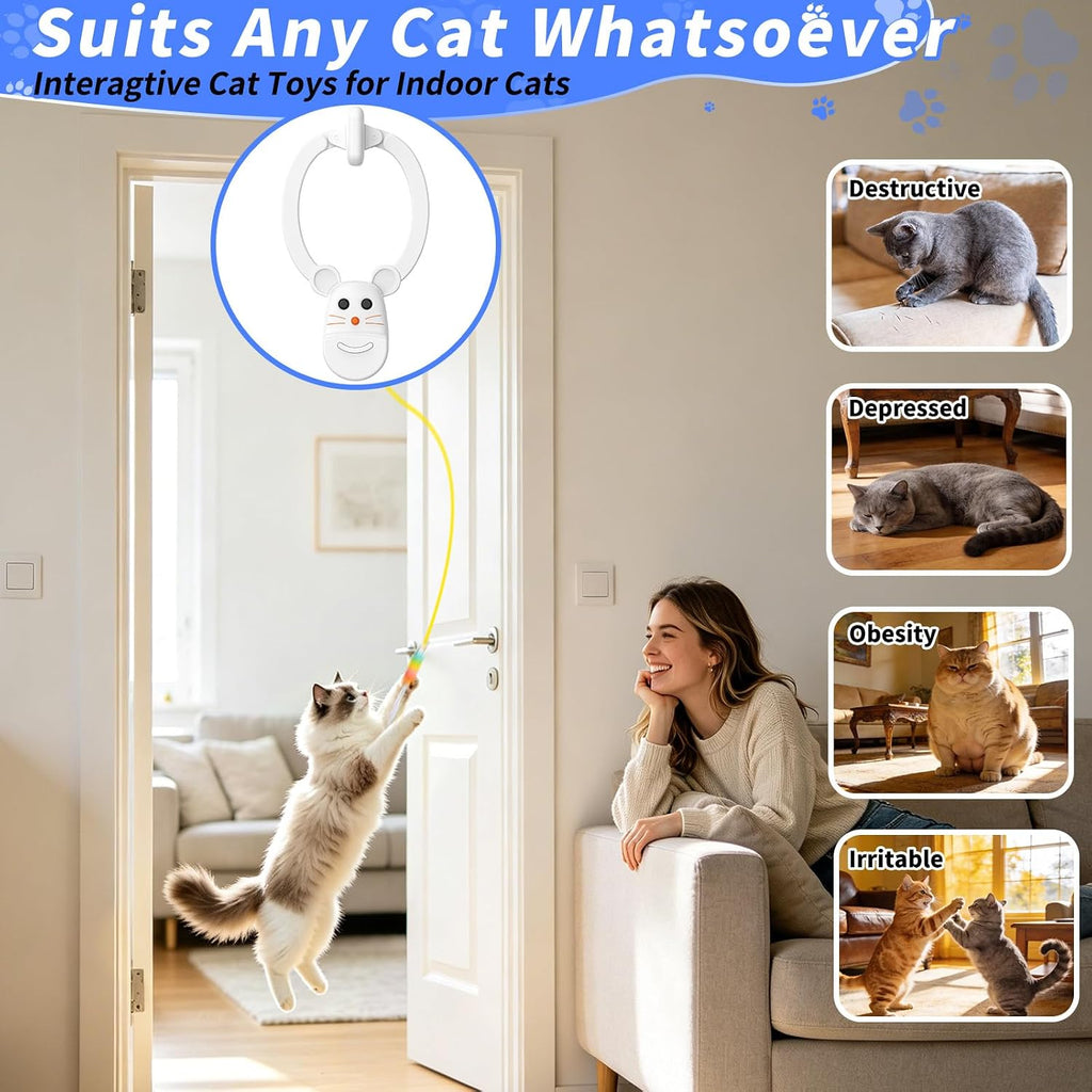Interactive Cat Toys for Indoor Cats, Door Hanging Flying Bird Feather Toy