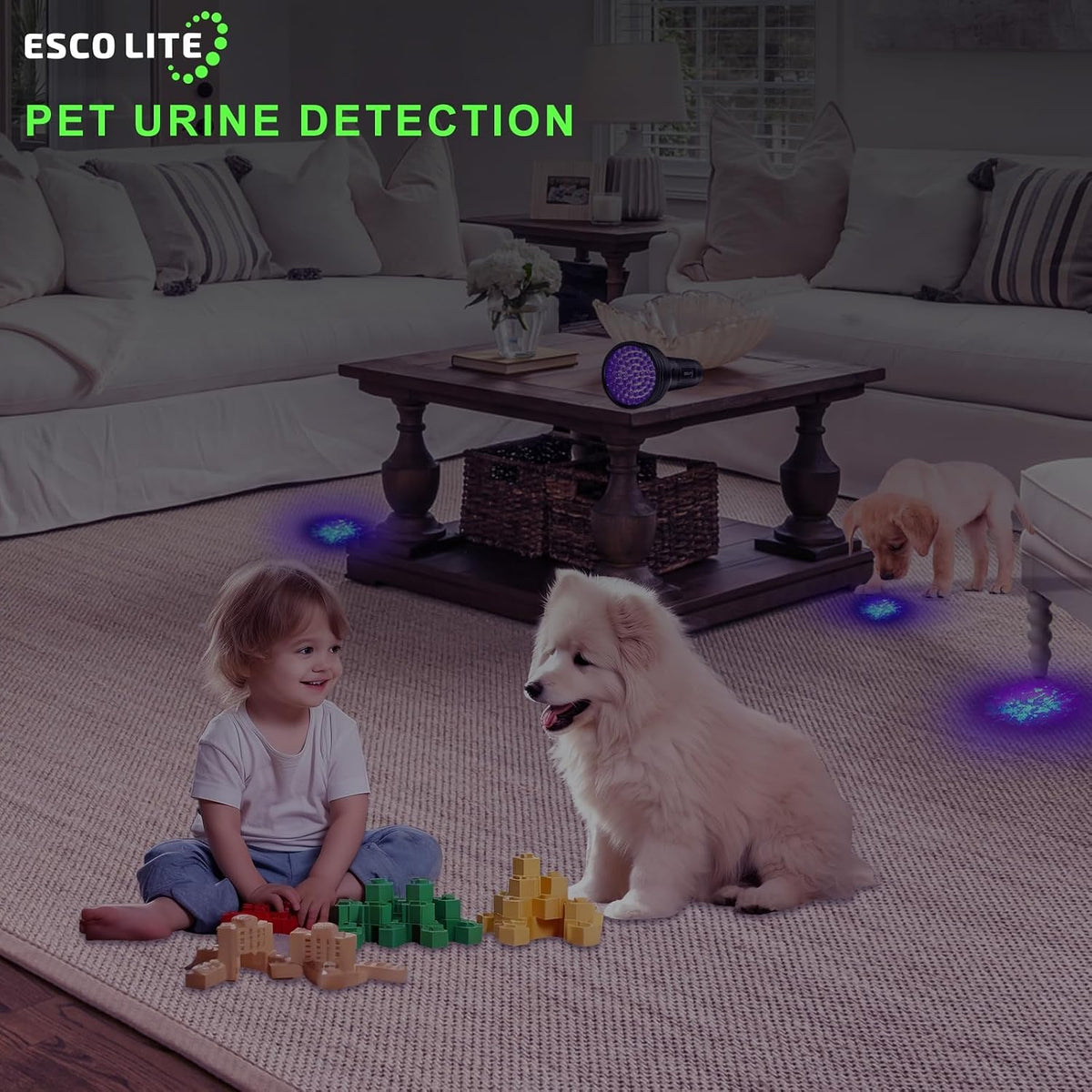 UV Flashlights Black Light for Pet Urine Detection 51 LED Blacklight Flashlight for Dog Cat Stains, UV Light Flashlight 