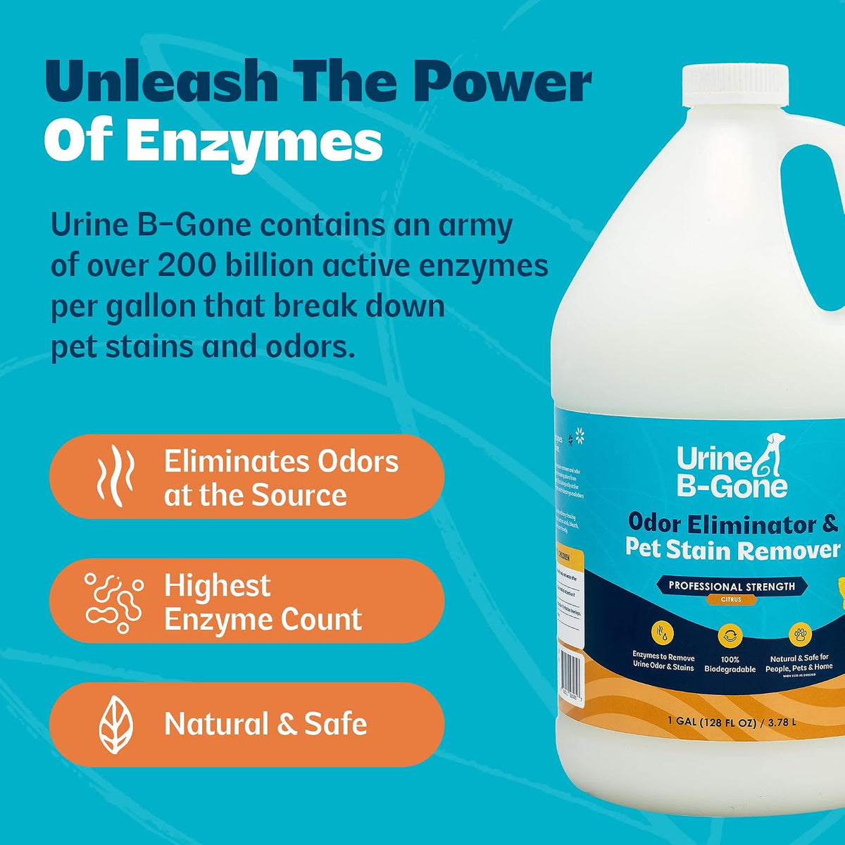 Urine B-Gone, Professional Enzyme Odor Eliminator & Pet Stain Remover, Human, Cat & Dog Urine Cleaner, Effective on Laun