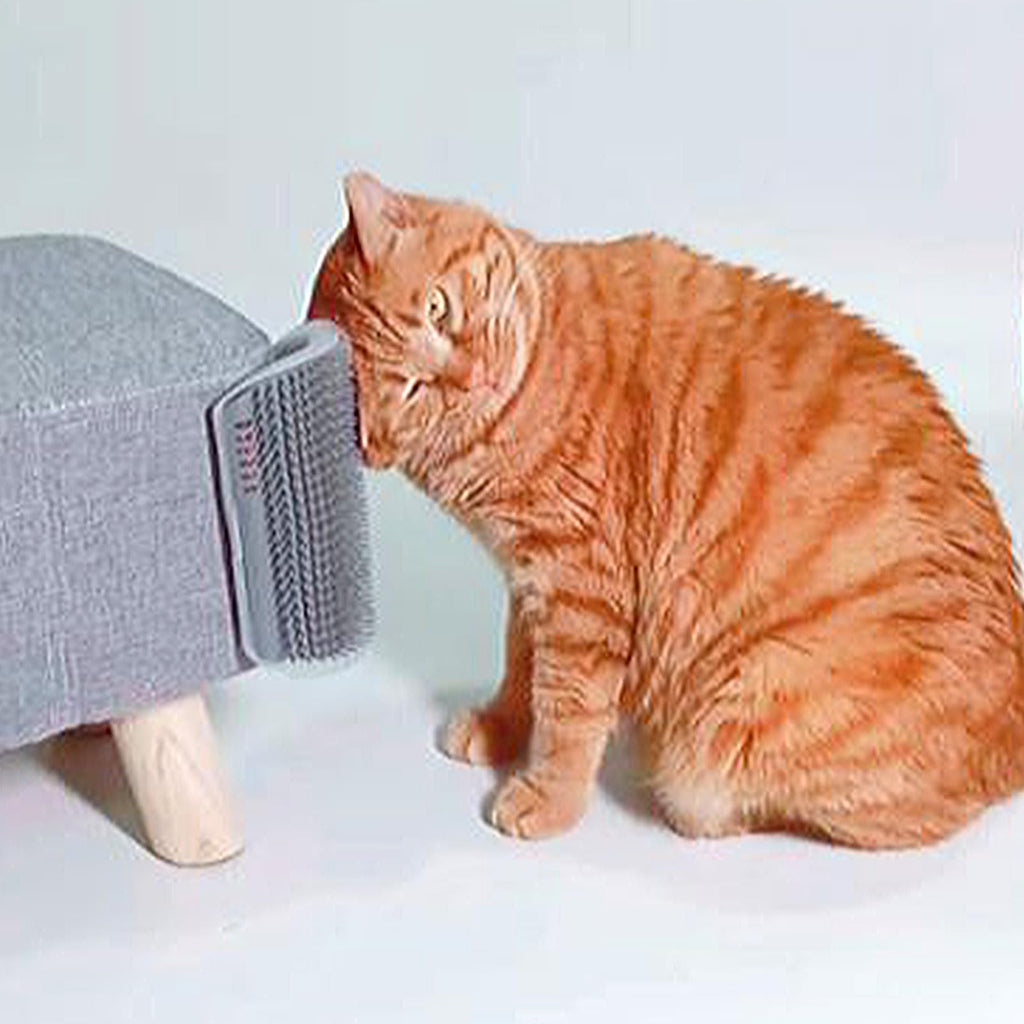 miwoowim 2PCS 6.1" Extended Cat Self Groomer, Wall Corner Massage Brush
