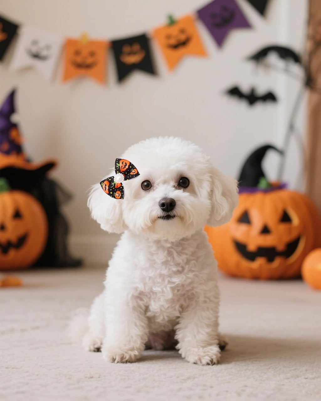 PET SHOW 10 Pack 2" Halloween Small Dog Hair Bows with French Clips